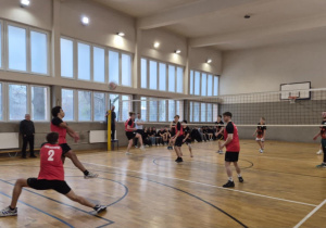 zawodnicy grają w siatkówkę